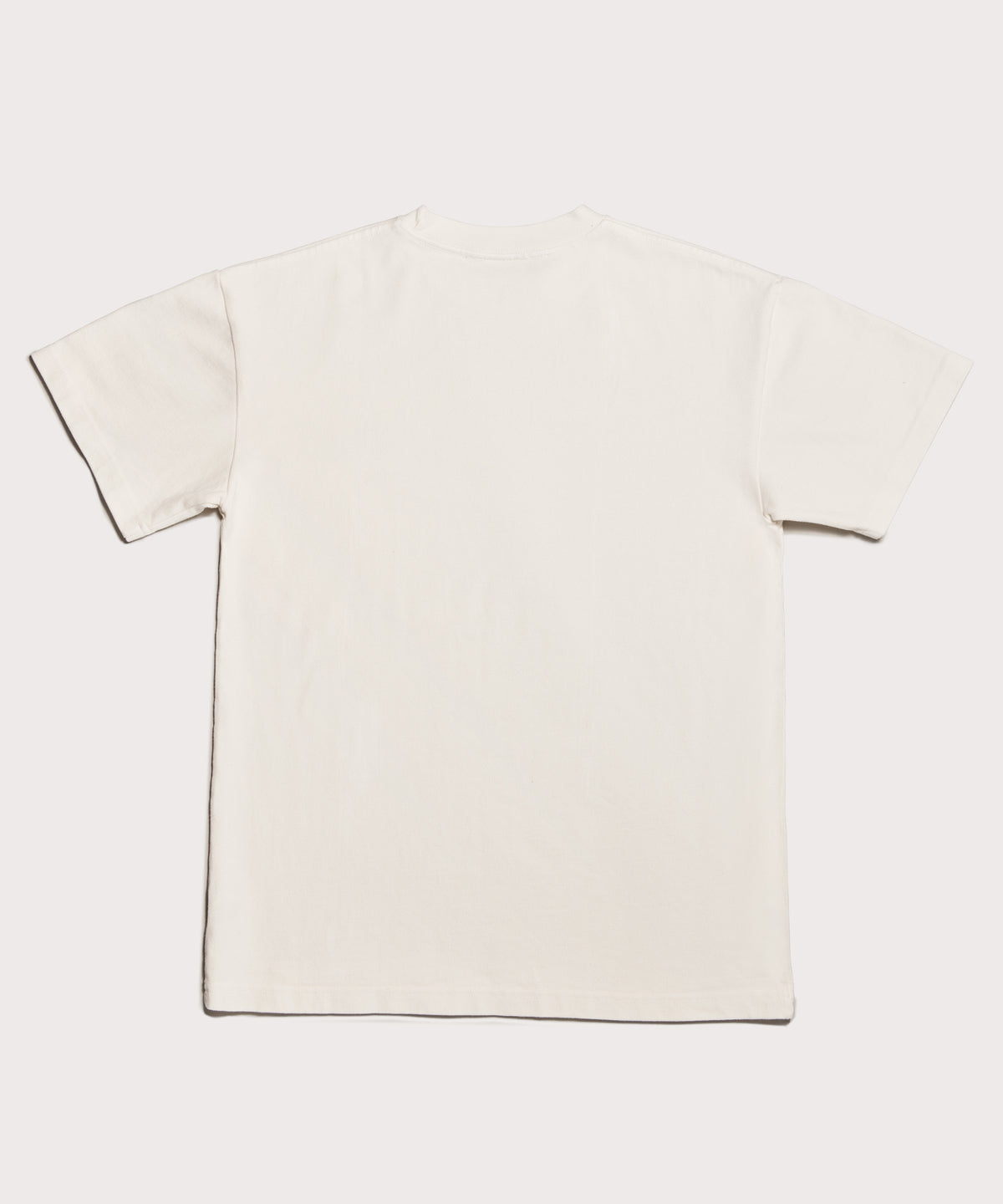 Varsity Logo T-shirt in Moonbeam, Medium