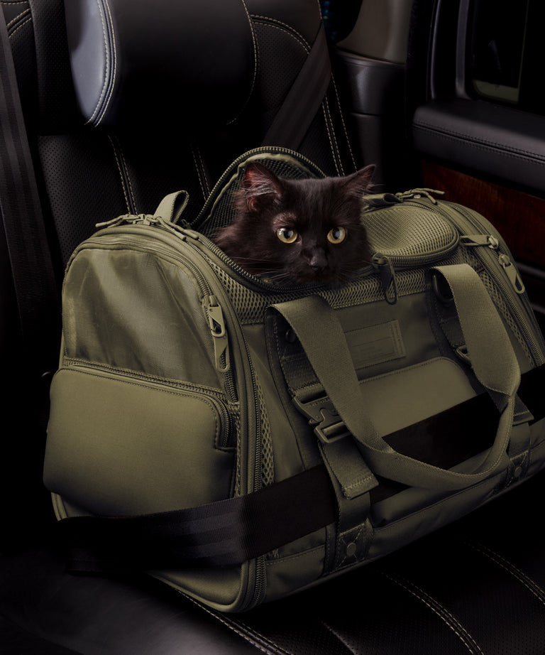 Dagne Dover Large Kyoto Pet Carrier in a deep olive green displaying the two side release buckle clips to secure pet carrier to seat belt; a cat is inside the carrier.  Caption: Ouija is a 7.8-lb American Longhair
