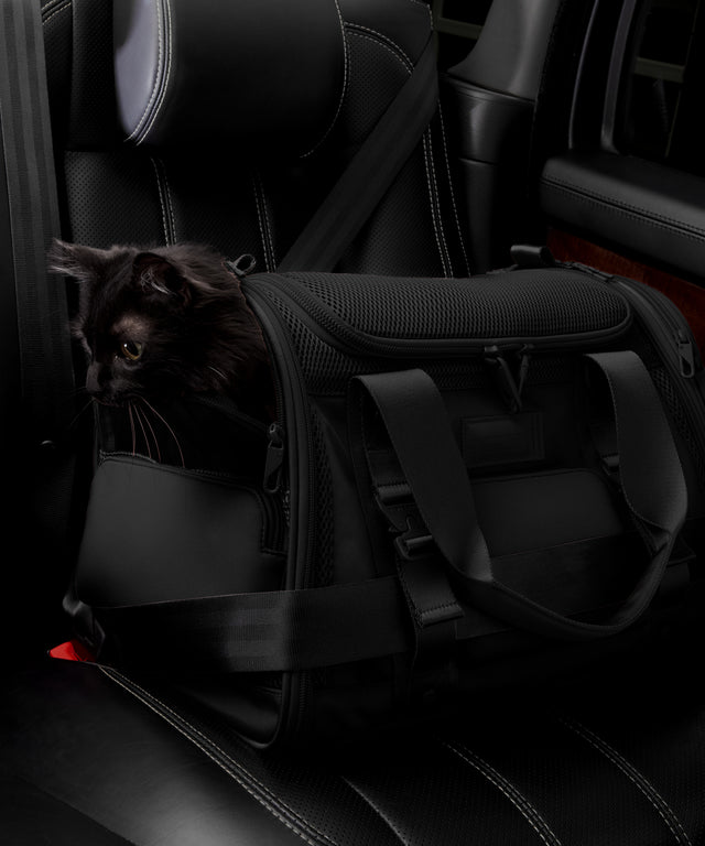 Dagne Dover Large Kyoto Pet Carrier in black displaying the two side release buckle clips to secure pet carrier to seat belt; a cat is inside the carrier.  Caption: Ouija is a 7.8-lb American Longhair
