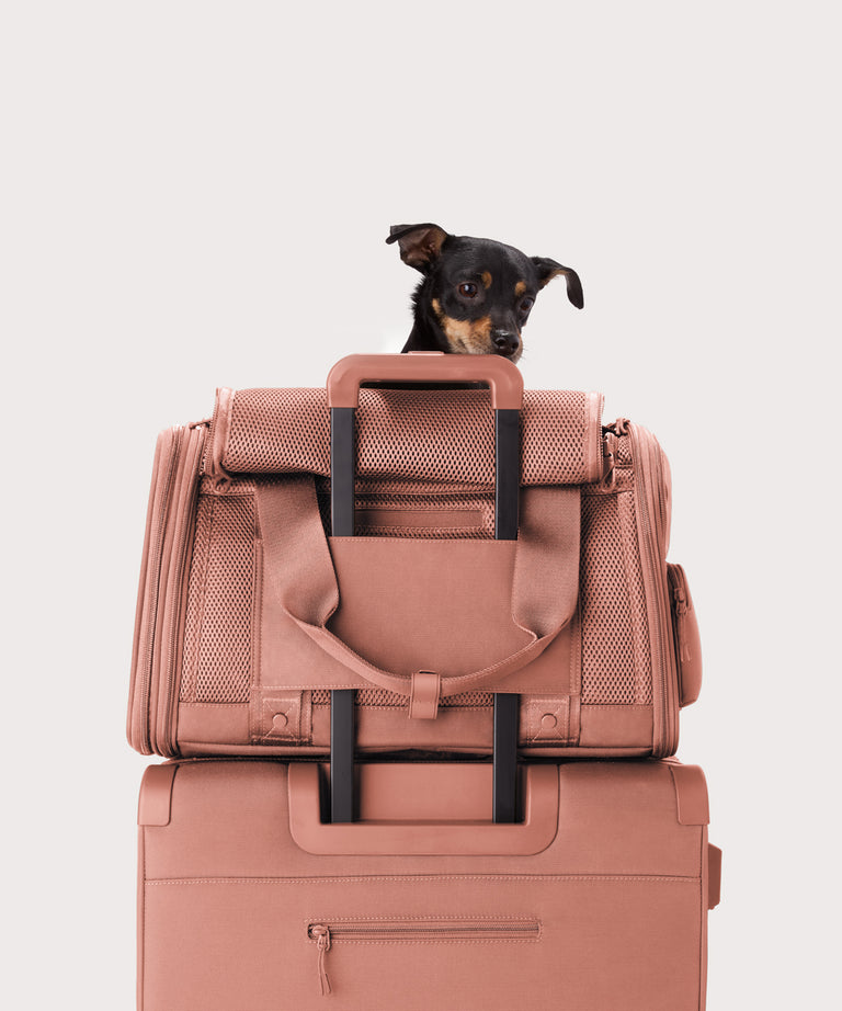 Dagne Dover Large Kyoto Pet Carrier in a warm dust pink displaying luggage sleeve with a dog inside the carrier.
