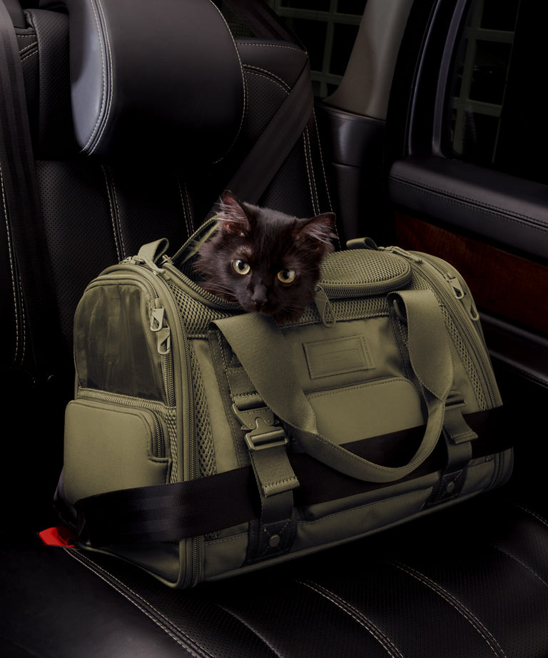 Dagne Dover small Kyoto Pet Carrier in a deep olive green displaying the two side release buckle clips to secure pet carrier to seat belt; a cat is inside the carrier.  Caption: Ouija is a 7.8-lb American Longhair