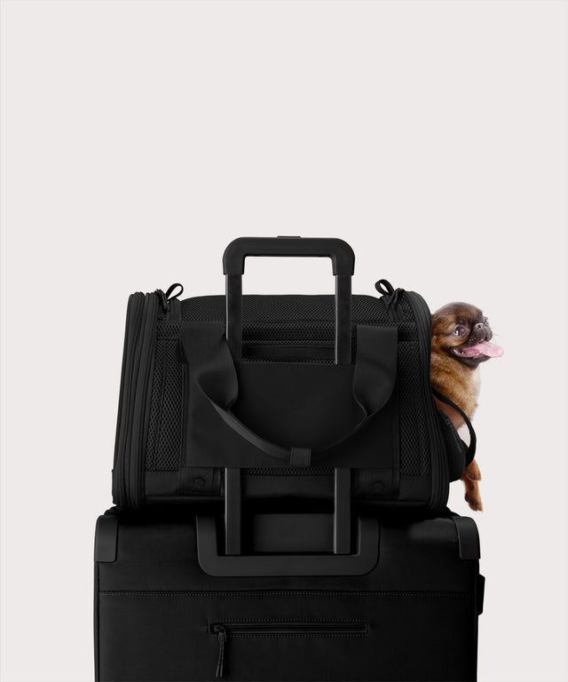 Dagne Dover small Kyoto Pet Carrier in black displaying luggage sleeve with a dog inside the carrier.
