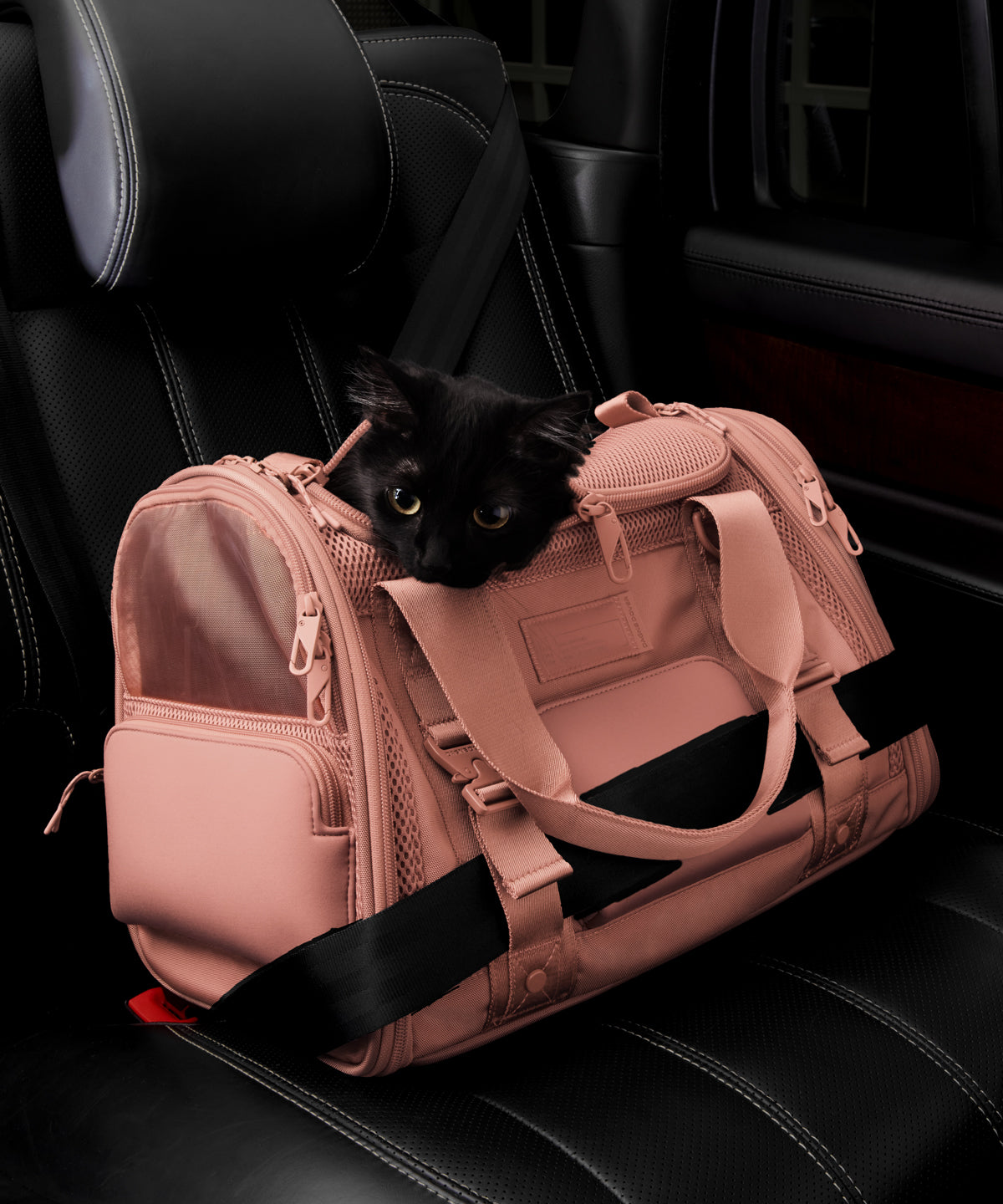 Dagne Dover small Kyoto Pet Carrier in a warm dust pink displaying the two side release buckle clips to secure pet carrier to seat belt; a cat is inside the carrier.  Caption: Ouija is a 7.8-lb American Longhair