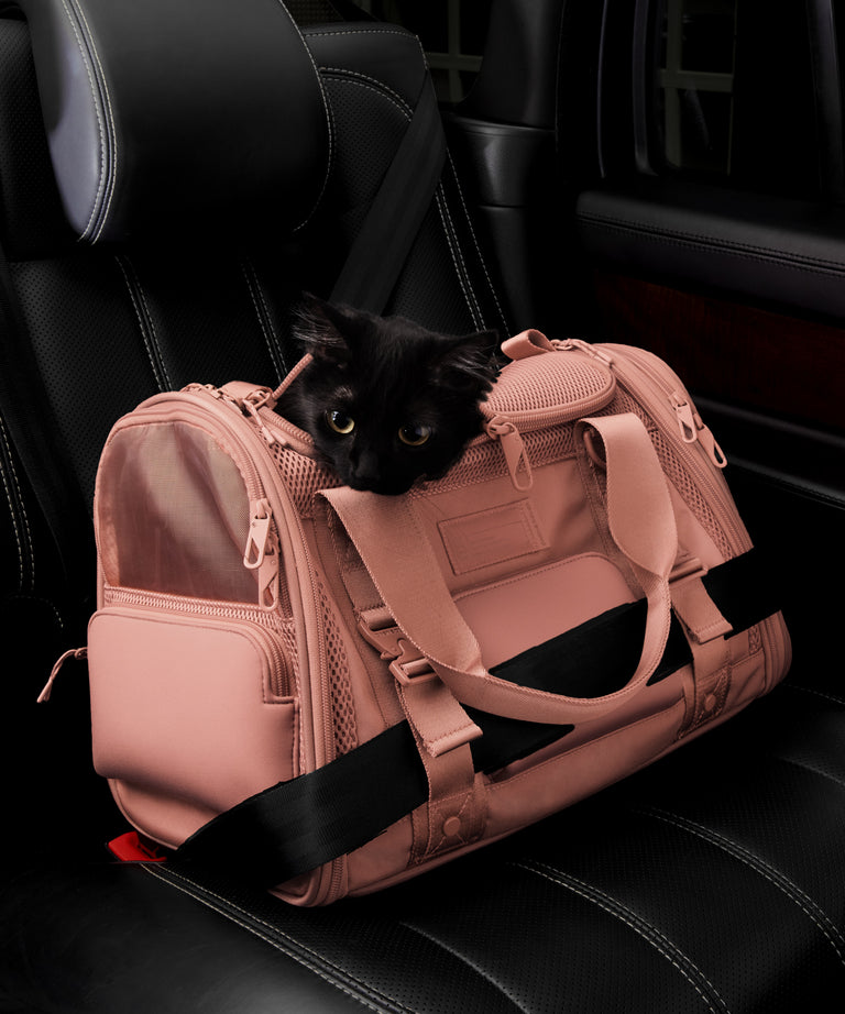 Dagne Dover small Kyoto Pet Carrier in a warm dust pink displaying the two side release buckle clips to secure pet carrier to seat belt; a cat is inside the carrier.  Caption: Ouija is a 7.8-lb American Longhair